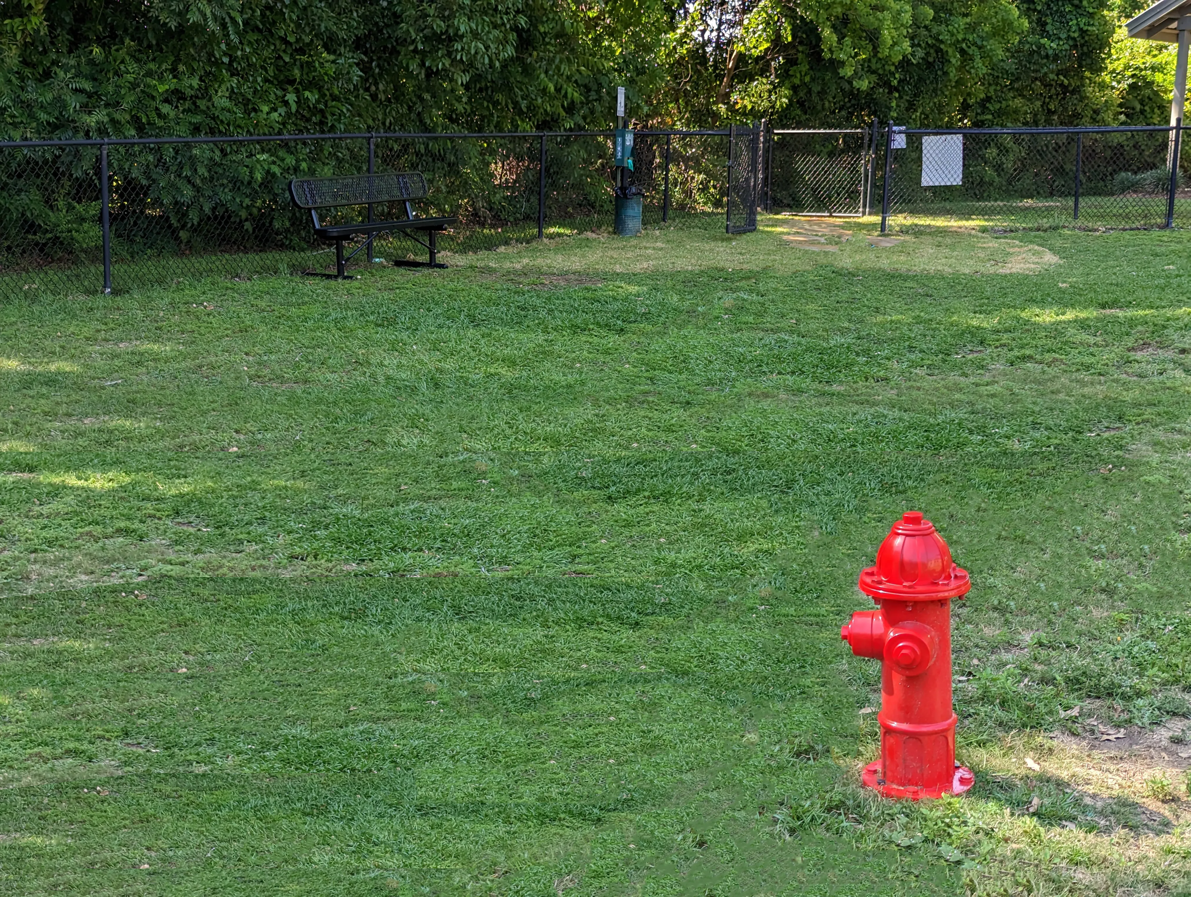 Dog Park