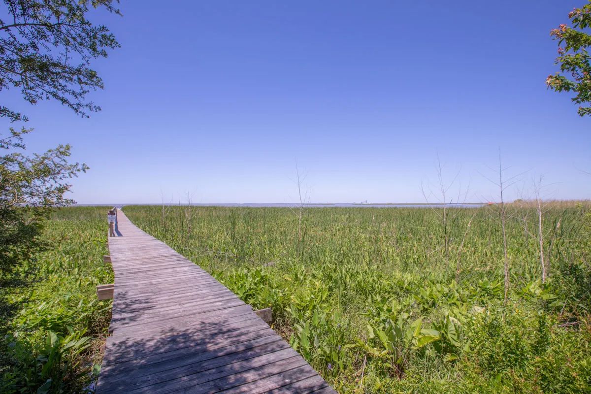 Boardwalk Pier
